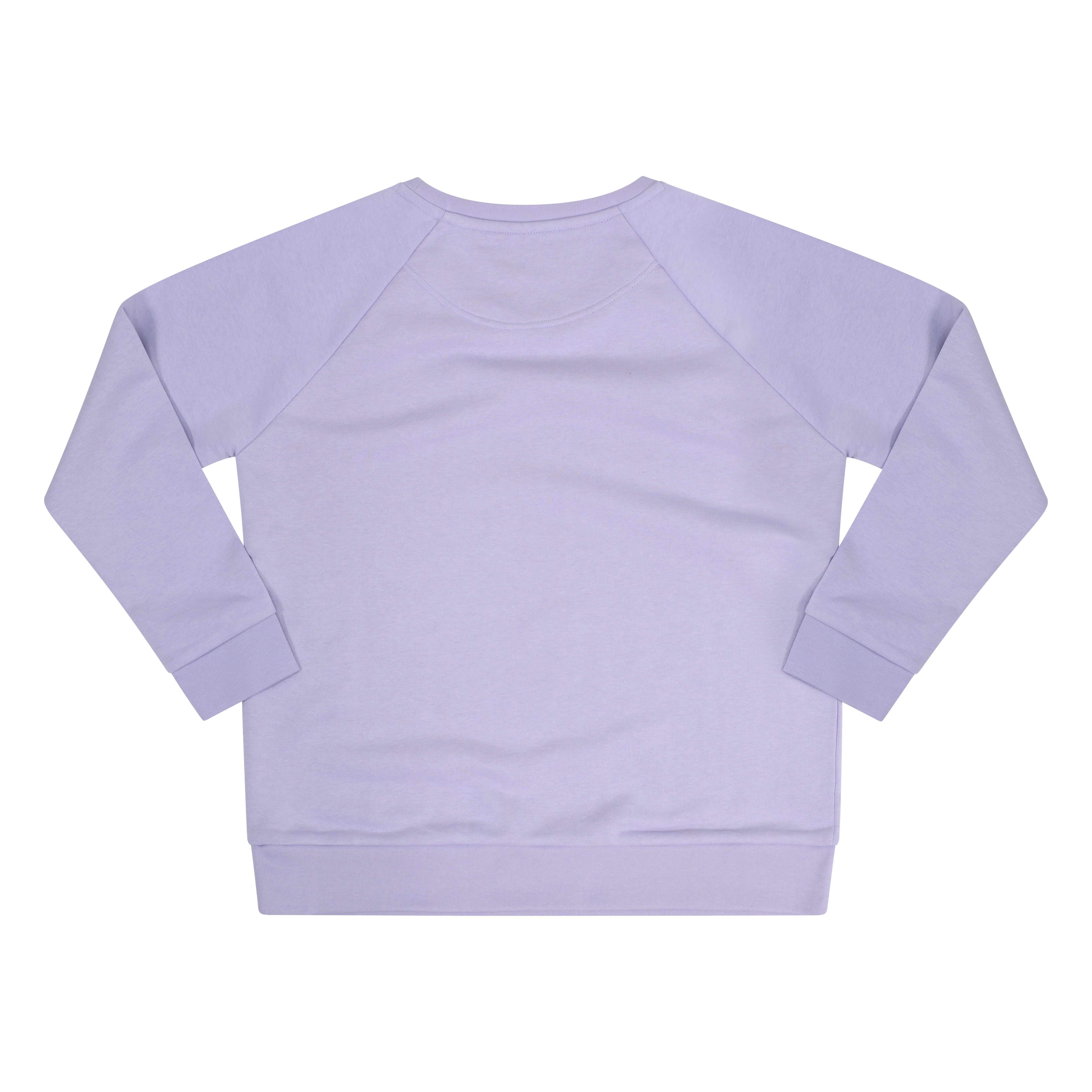 Flyby Women's Relaxed Fit Sweatshirt - Lilac