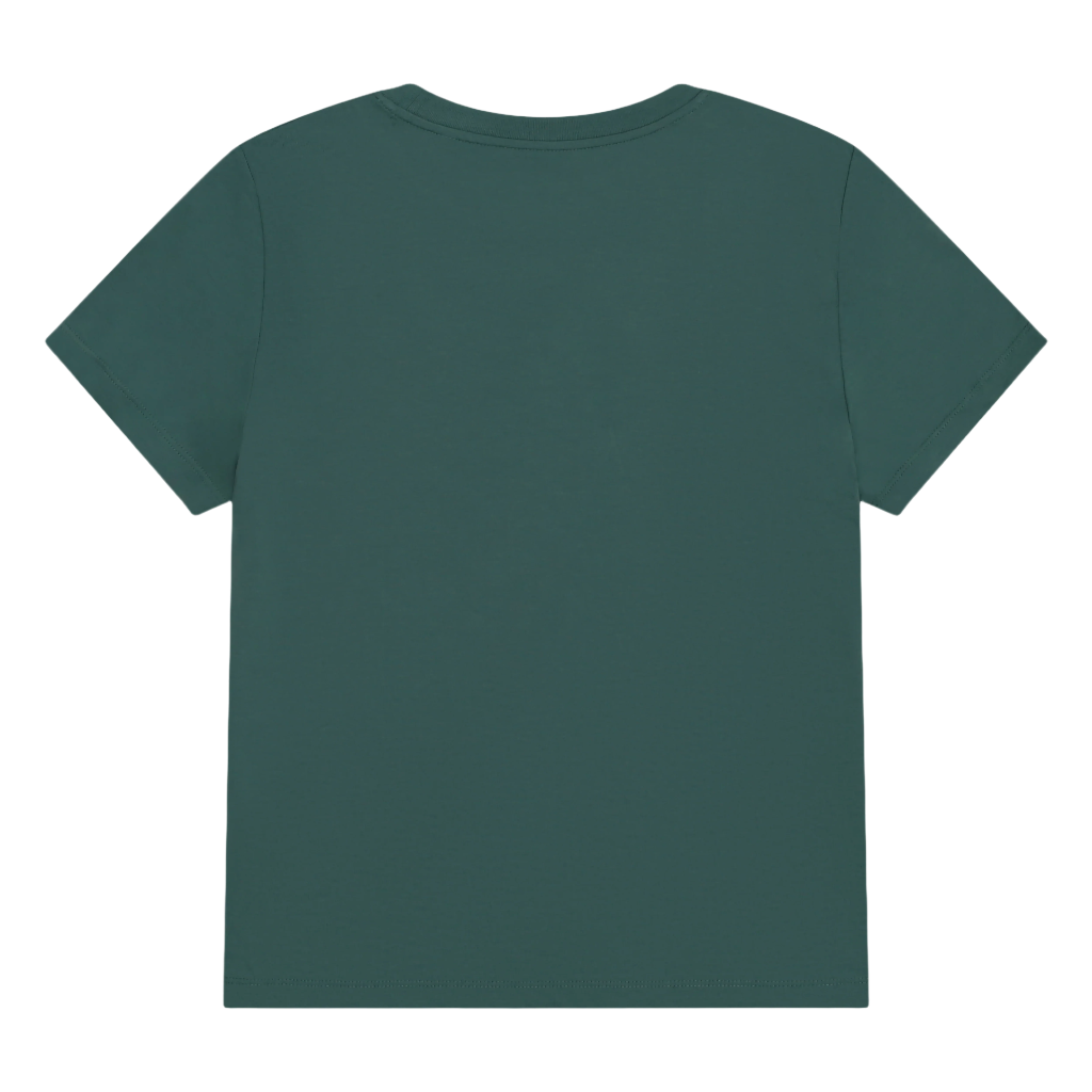 Flyby Women's T-Shirt Bay Green