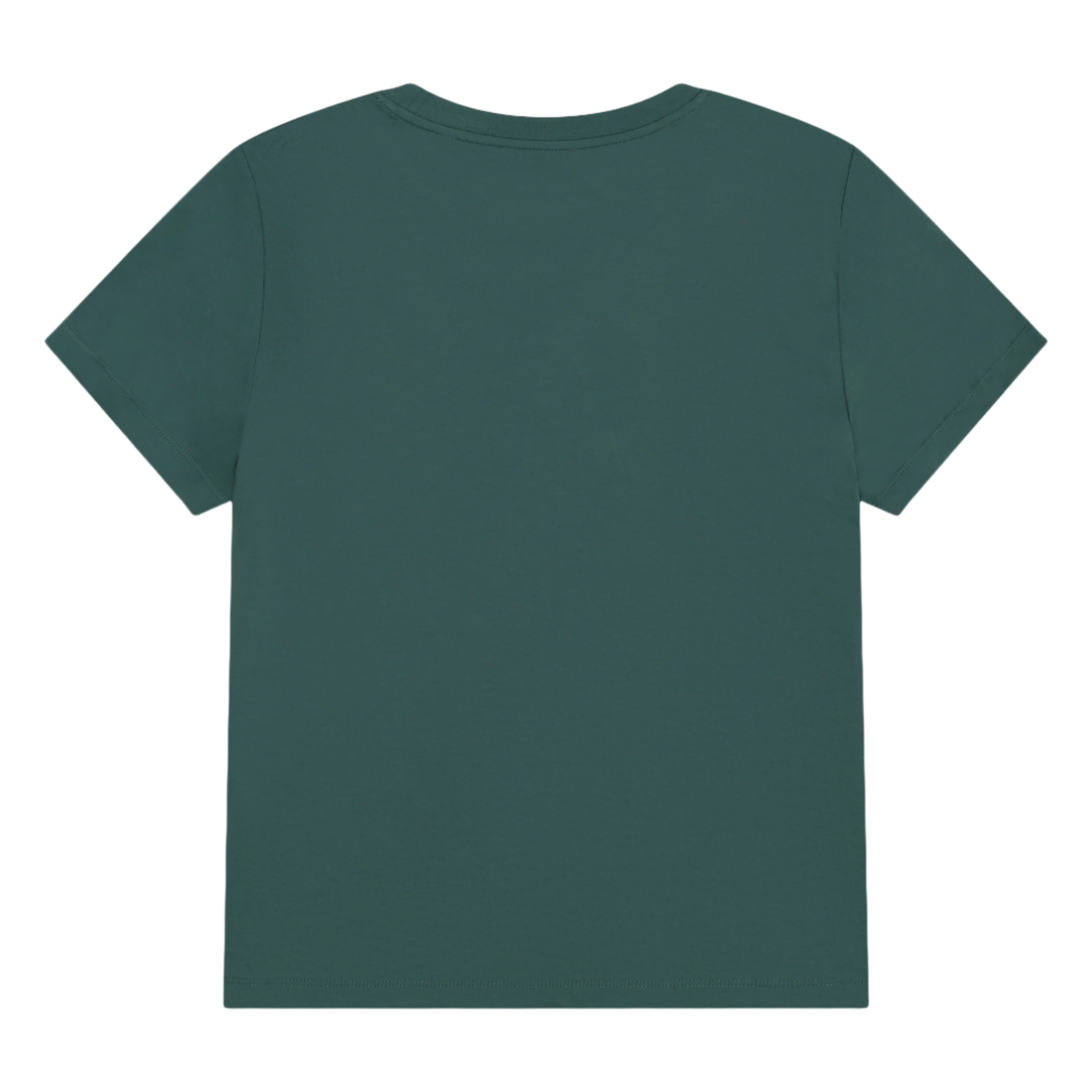 Flyby Women's T-Shirt Bay Green